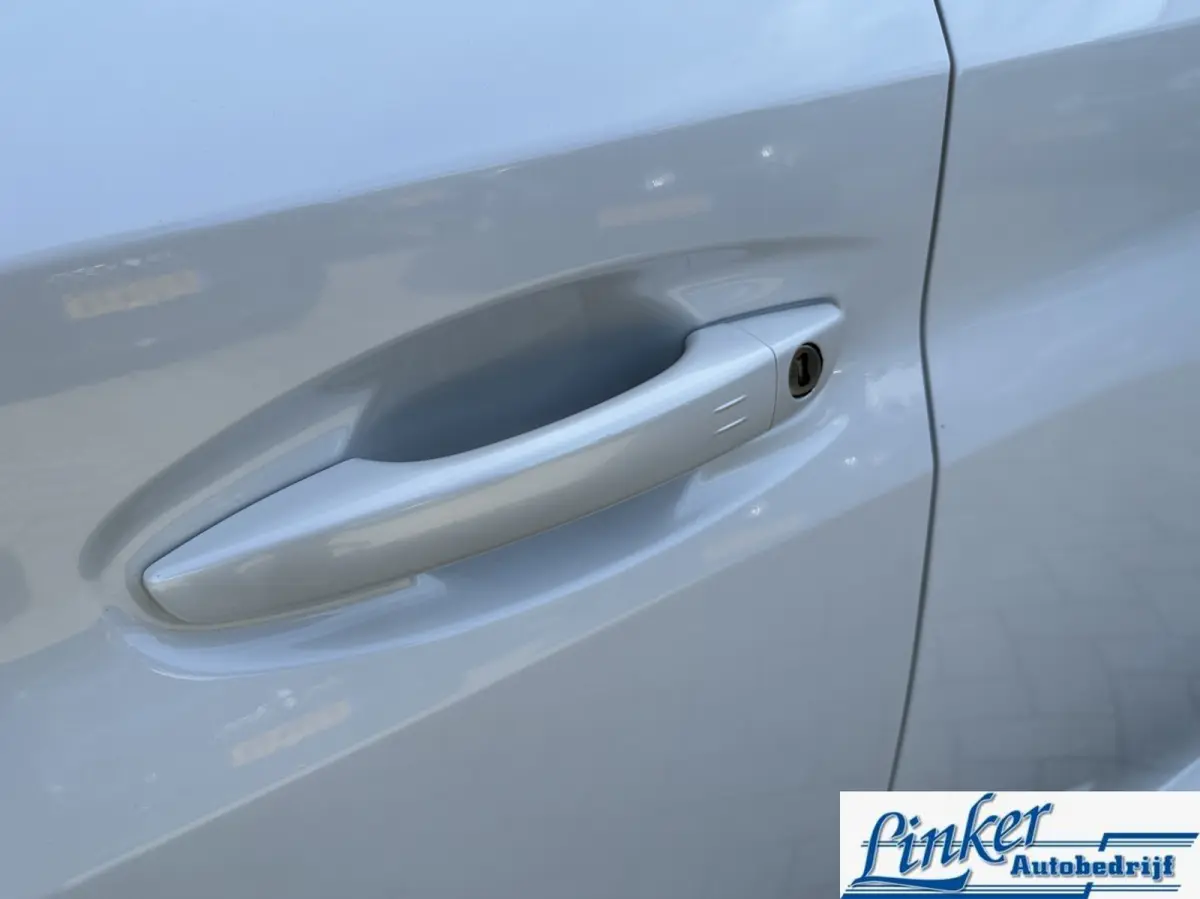 EV Blue Lease Active 50 kWh - SoH 87% CAMERA LM VELGEN