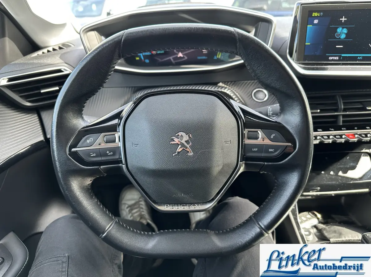 EV Blue Lease Active 50 kWh - SoH 87% CAMERA LM VELGEN