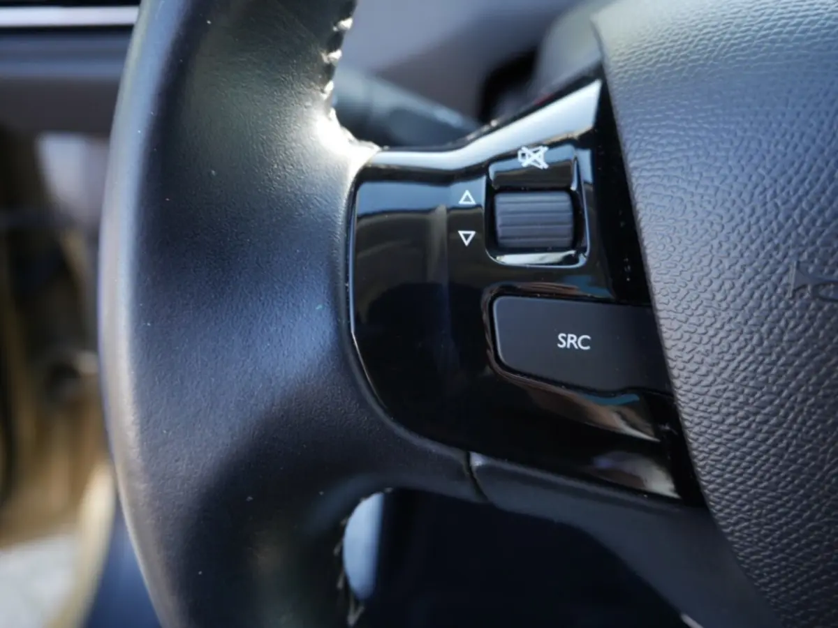 1.2 PureTech Blue Lease Premium