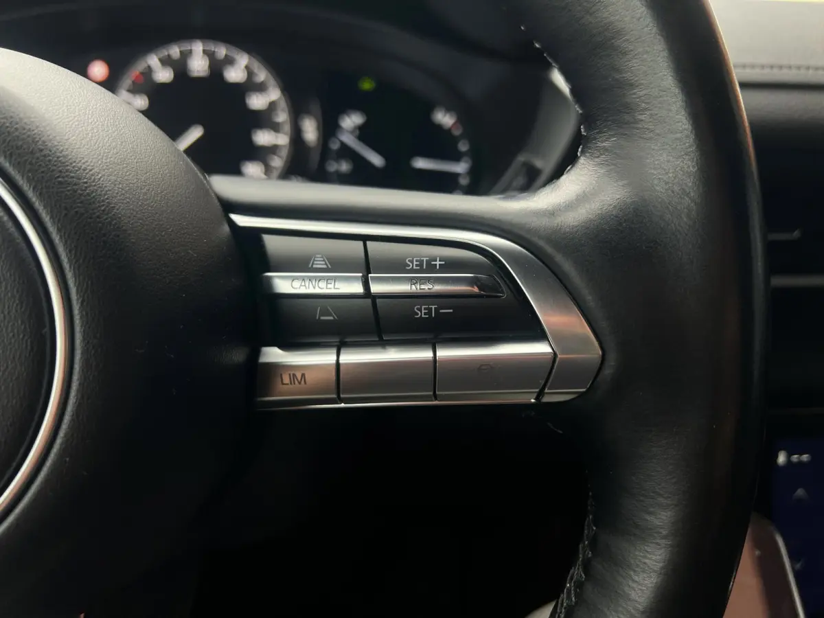 E-SkyActiv 36 kWh|Carplay|LED|Navi|HUD|CAM|VOL
