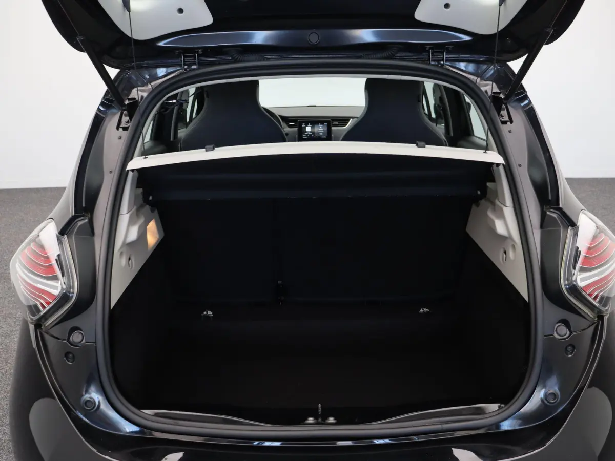 R110 Life 52 kWh | Accu Koop | Stoel en stuurwielverwarming | Achteruitrijcamera | Climate Control | Voor en Achter Parkeersensoren |