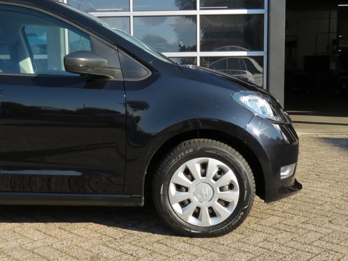 EV AMBITION / soh 91% / Stoelverwarming / Clima / Pdc / Extra getint / BOVAG garantie