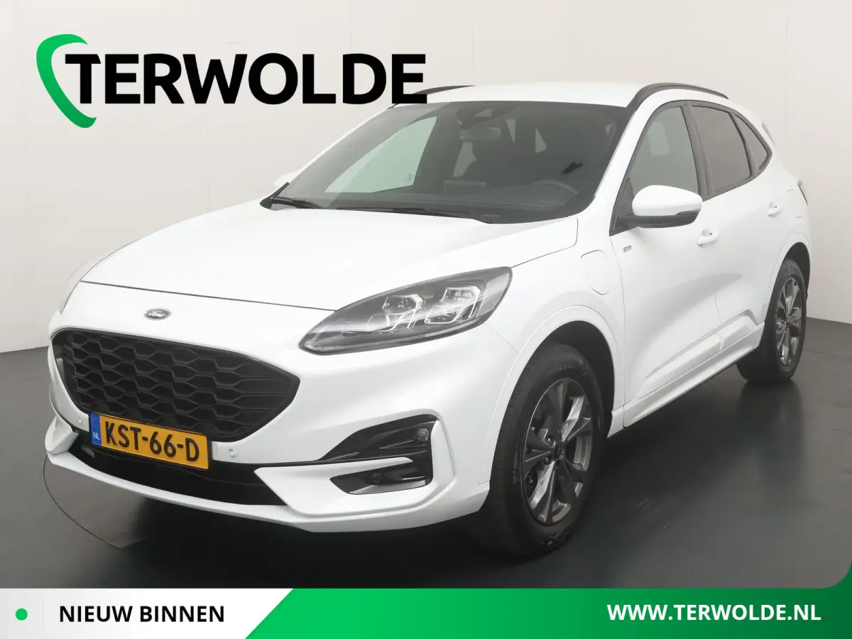 2.5 PHEV ST-Line X | Afneembare trekhaak | Winter pack |