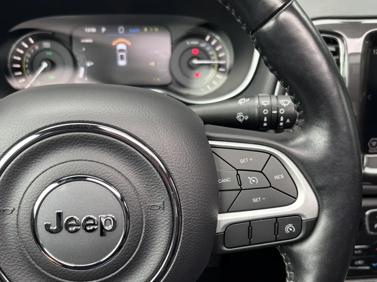 240pk Plug-in Hybrid S | Glazen dak | LEER | Camera | Alpine Audio | AUTOMAAT