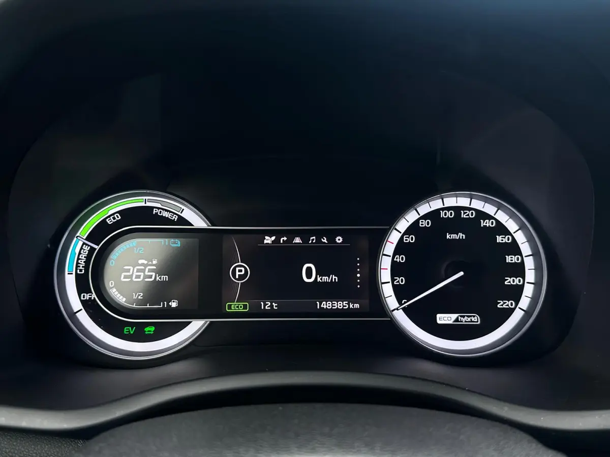 1.6 Hybrid DynamicLine, Airco, CarPlay, Camera, Cruise, Trekhaak, Navi, Lane, NAP