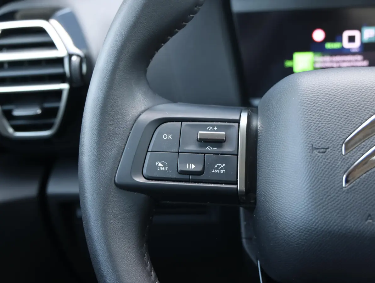 You 50 kWh 1ste Eigenaar | Warmtepomp | Camera | Cruise Control | Apple Carplay & Android Auto | 17" LMV