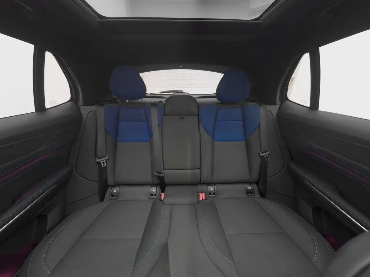 1.5 Plug-in Hybrid | 360° | BLACK | ZWARTE HEMEL | NLD AUTO