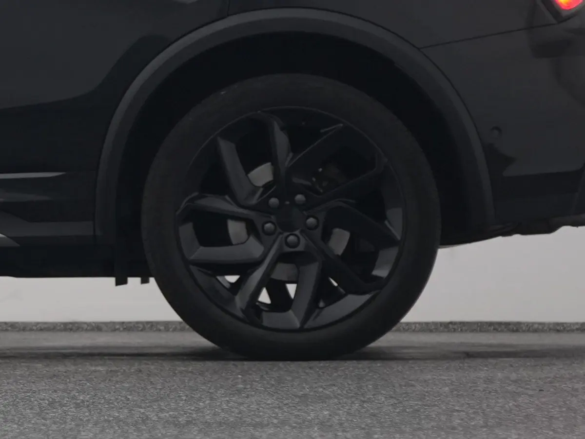 1.5 Plug-in Hybrid | 360° | BLACK | ZWARTE HEMEL | NLD AUTO
