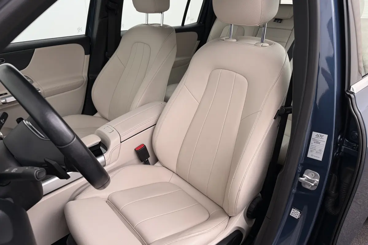250 Luxury Line 67 kWh (96%SOH) Leder Camera Stoelverw.