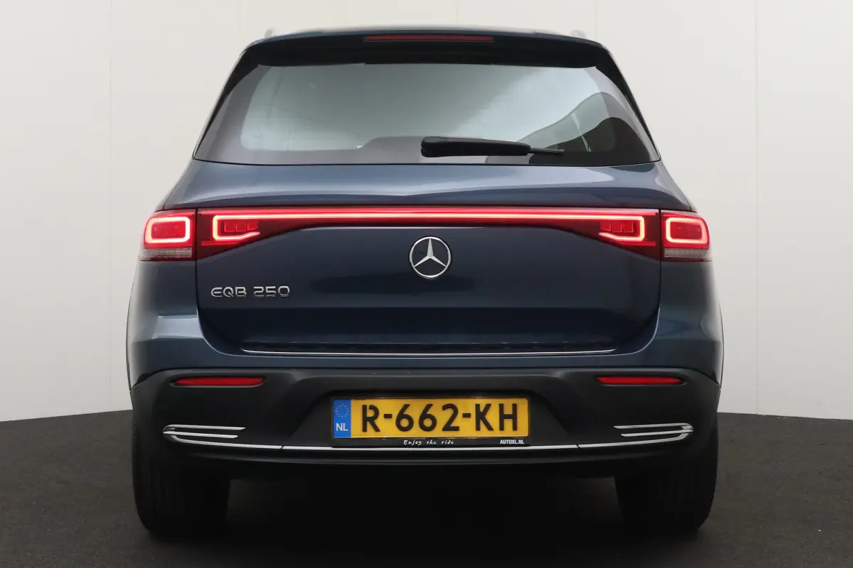 250 Luxury Line 67 kWh (96%SOH) Leder Camera Stoelverw.