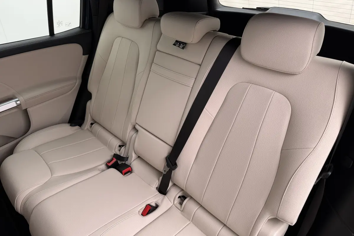 250 Luxury Line 67 kWh (96%SOH) Leder Camera Stoelverw.