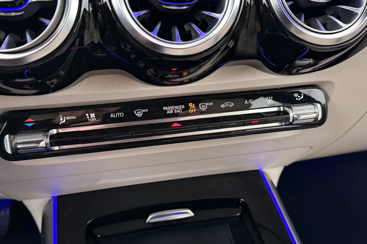250 Luxury Line 67 kWh (96%SOH) Leder Camera Stoelverw.