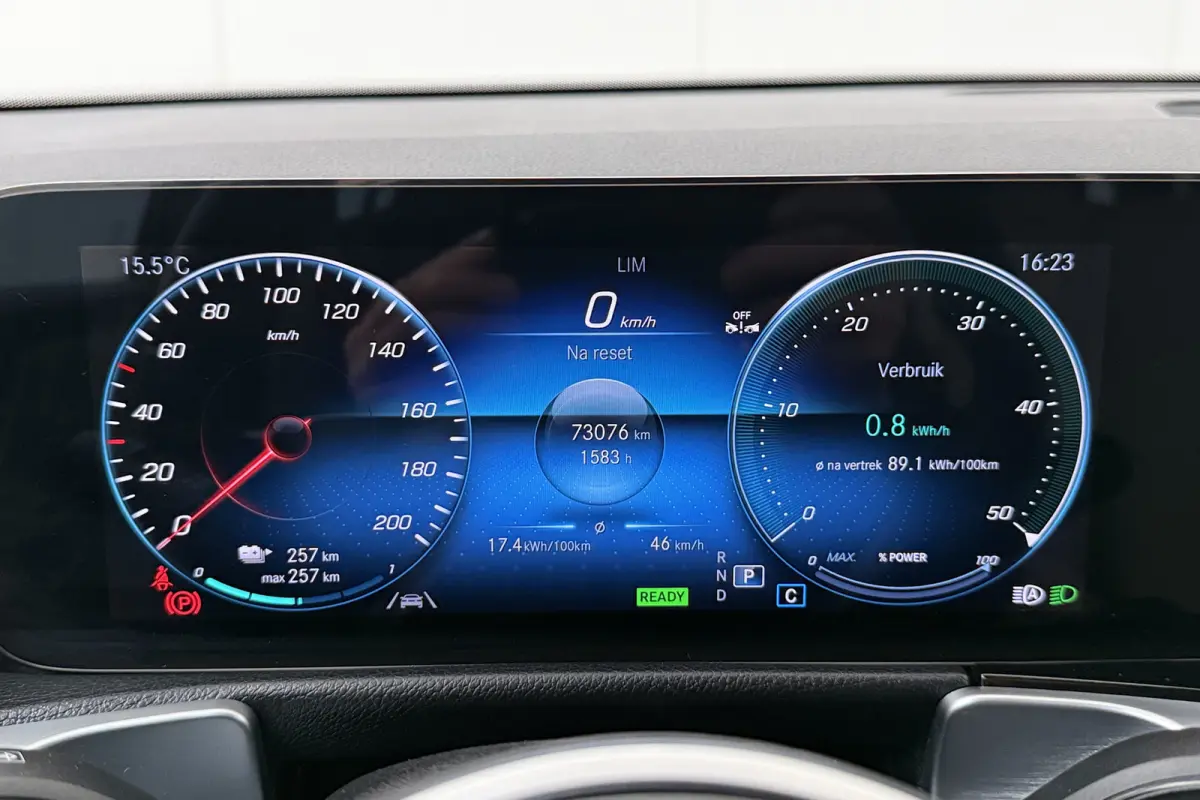 250 Luxury Line 67 kWh (96%SOH) Leder Camera Stoelverw.
