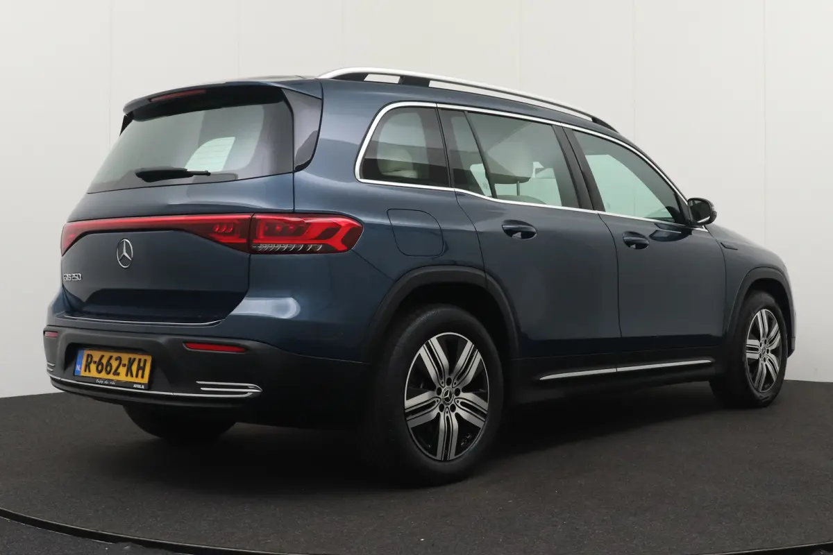 250 Luxury Line 67 kWh (96%SOH) Leder Camera Stoelverw.