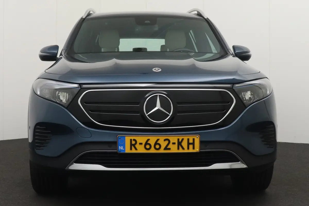 250 Luxury Line 67 kWh (96%SOH) Leder Camera Stoelverw.