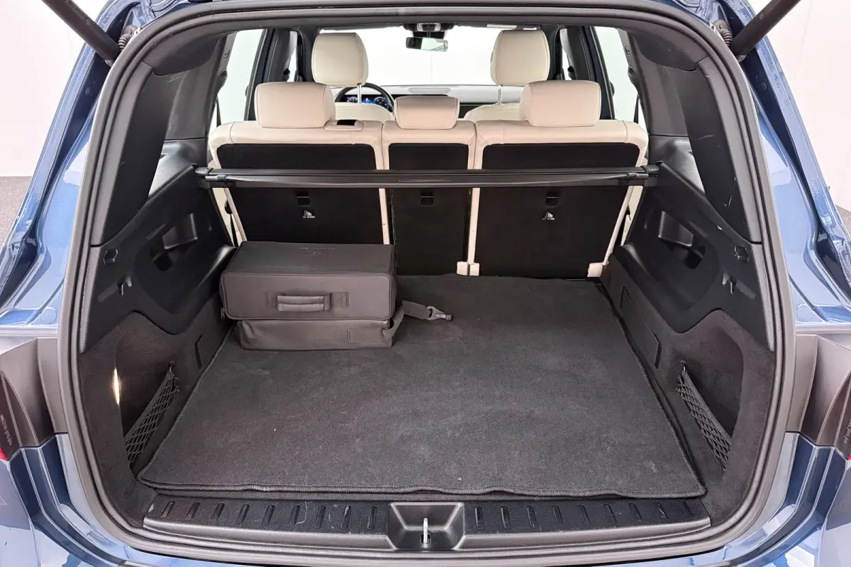 250 Luxury Line 67 kWh (96%SOH) Leder Camera Stoelverw.