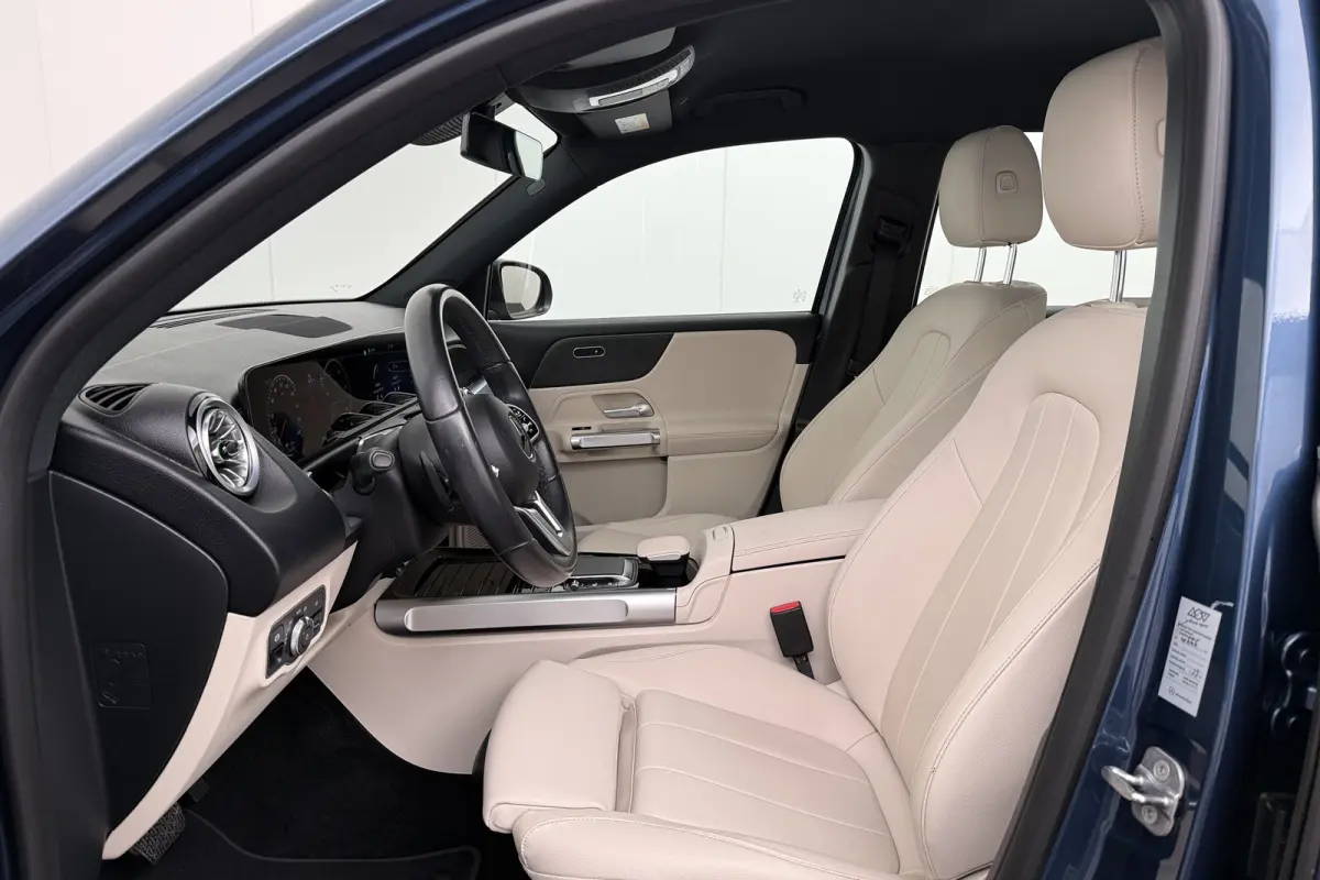 250 Luxury Line 67 kWh (96%SOH) Leder Camera Stoelverw.