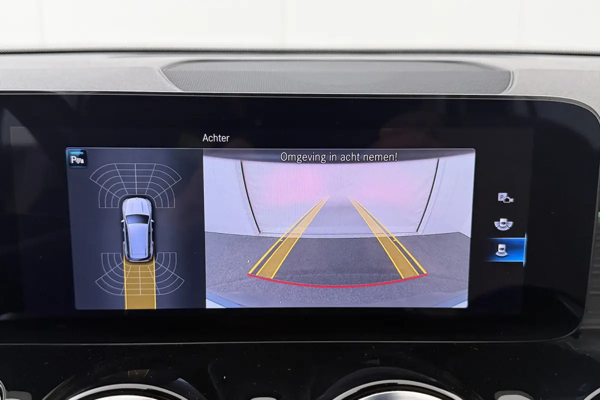 250 Luxury Line 67 kWh (96%SOH) Leder Camera Stoelverw.