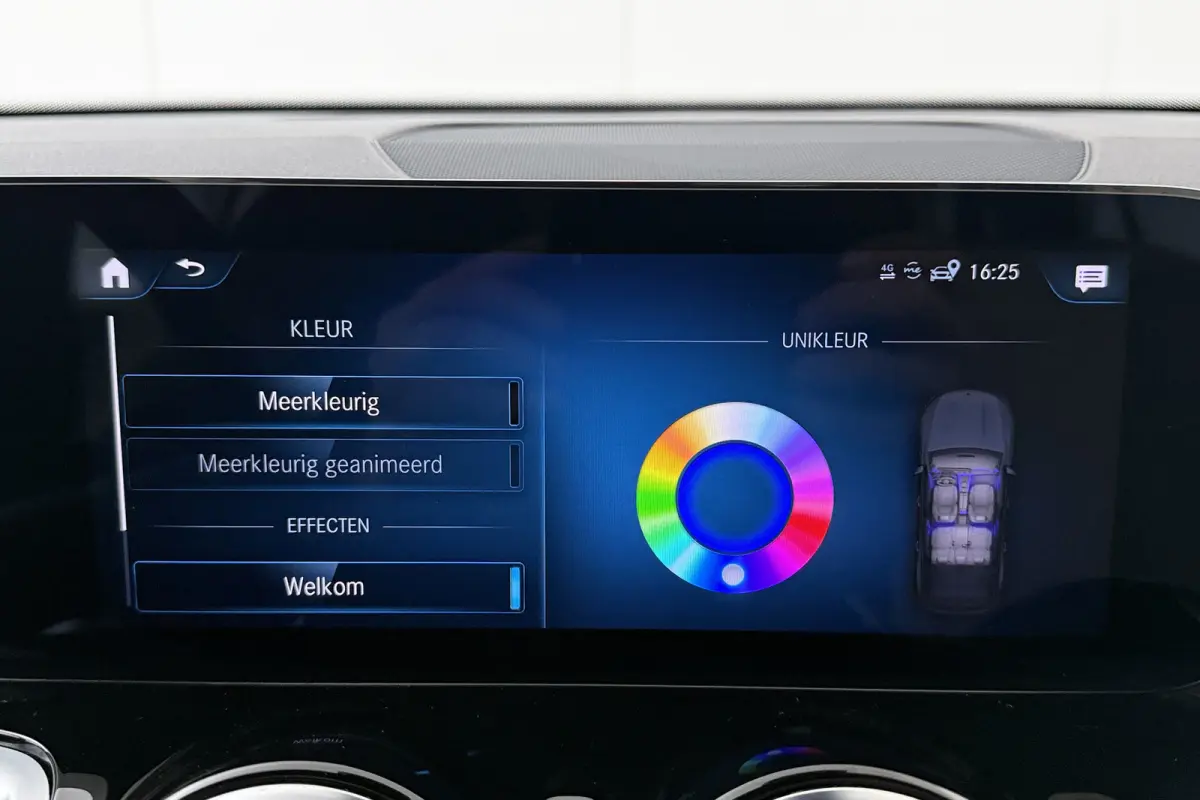 250 Luxury Line 67 kWh (96%SOH) Leder Camera Stoelverw.