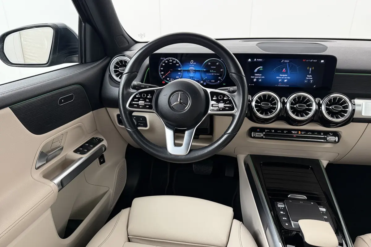 250 Luxury Line 67 kWh (96%SOH) Leder Camera Stoelverw.