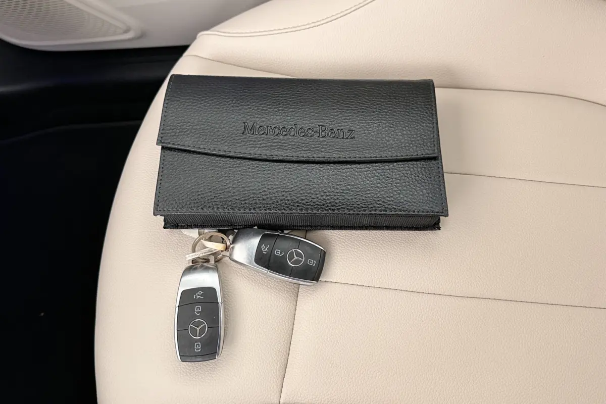 250 Luxury Line 67 kWh (96%SOH) Leder Camera Stoelverw.