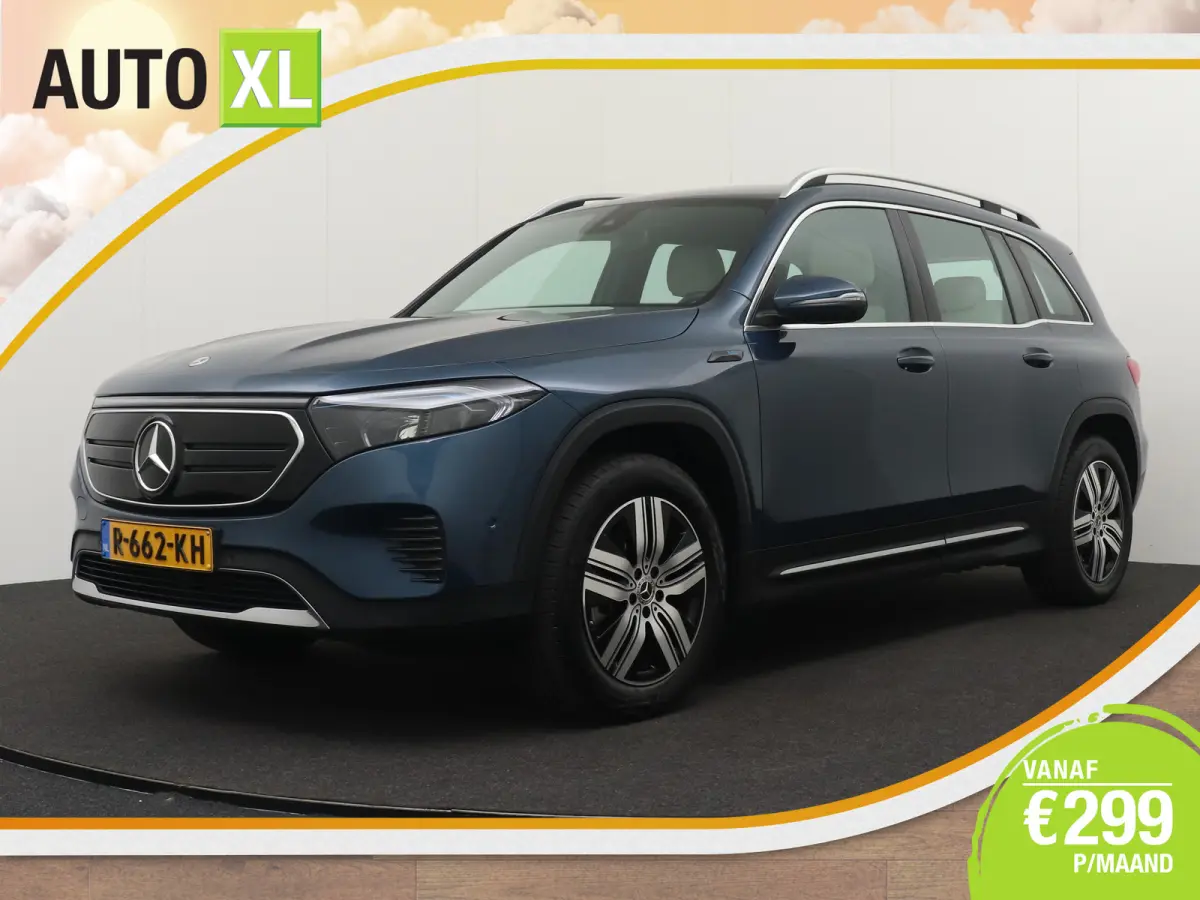 250 Luxury Line 67 kWh (96%SOH) Leder Camera Stoelverw.