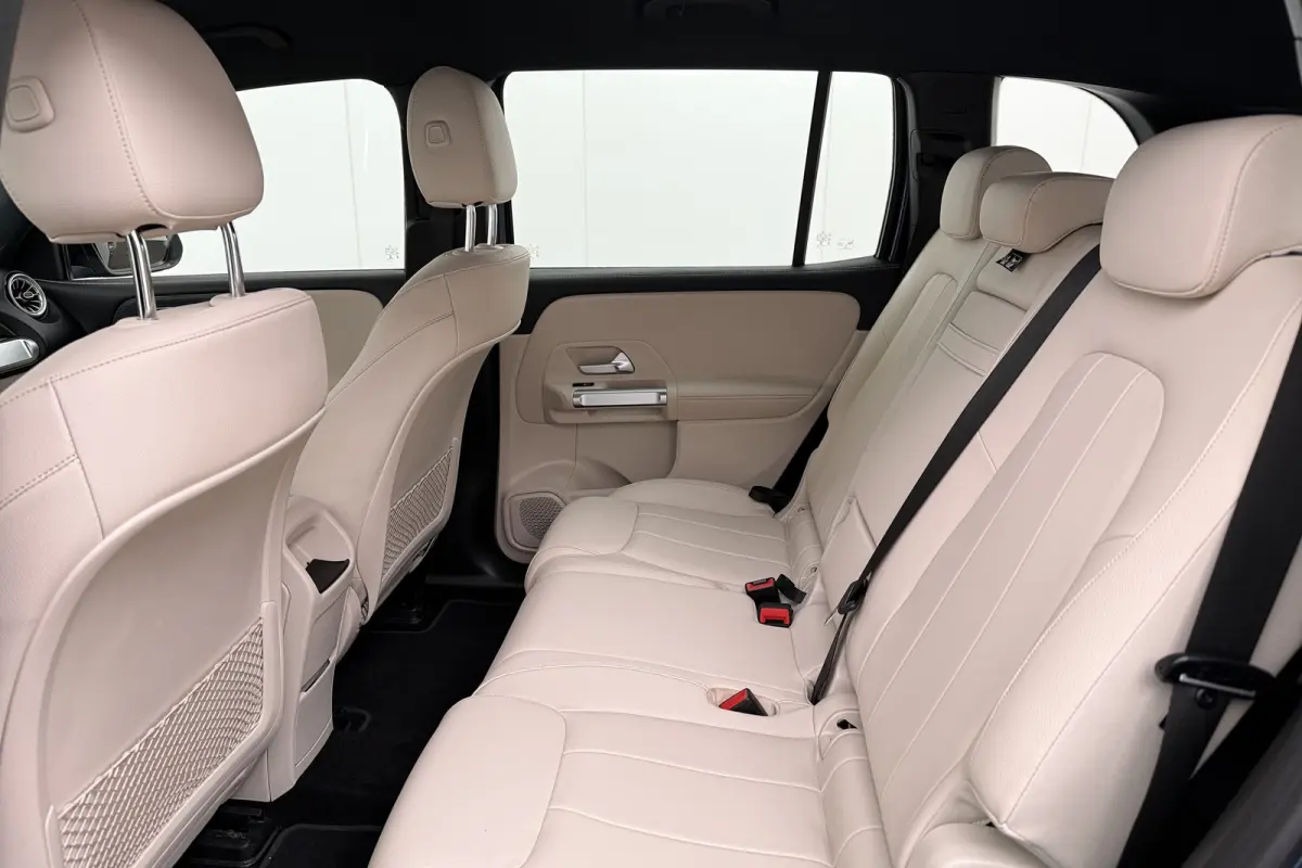 250 Luxury Line 67 kWh (96%SOH) Leder Camera Stoelverw.