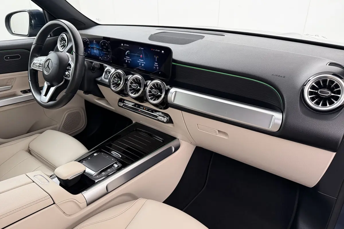 250 Luxury Line 67 kWh (96%SOH) Leder Camera Stoelverw.