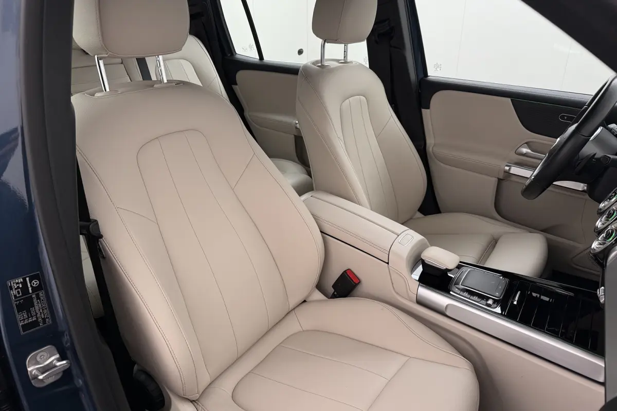 250 Luxury Line 67 kWh (96%SOH) Leder Camera Stoelverw.