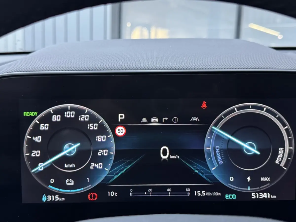 DynamicLine 64.8 kWh | Navi | Camera | SOH 100%