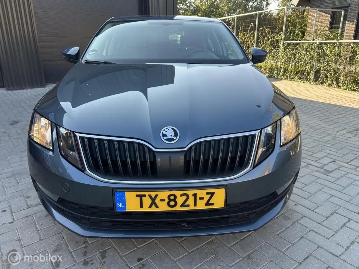 1.6 TDI Greentech Ambition Business