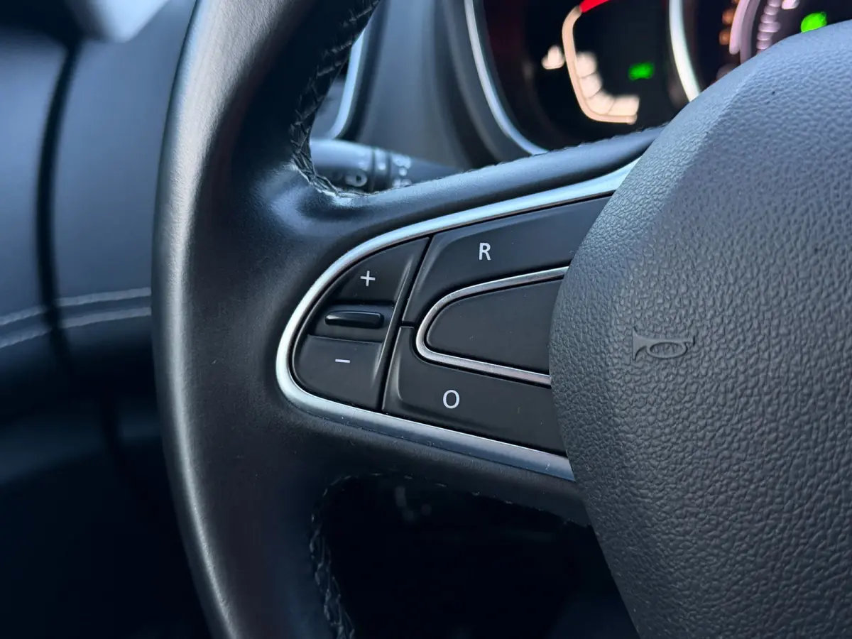 1.3 TCe Bose LED Navi Camera Trekh. Aut.