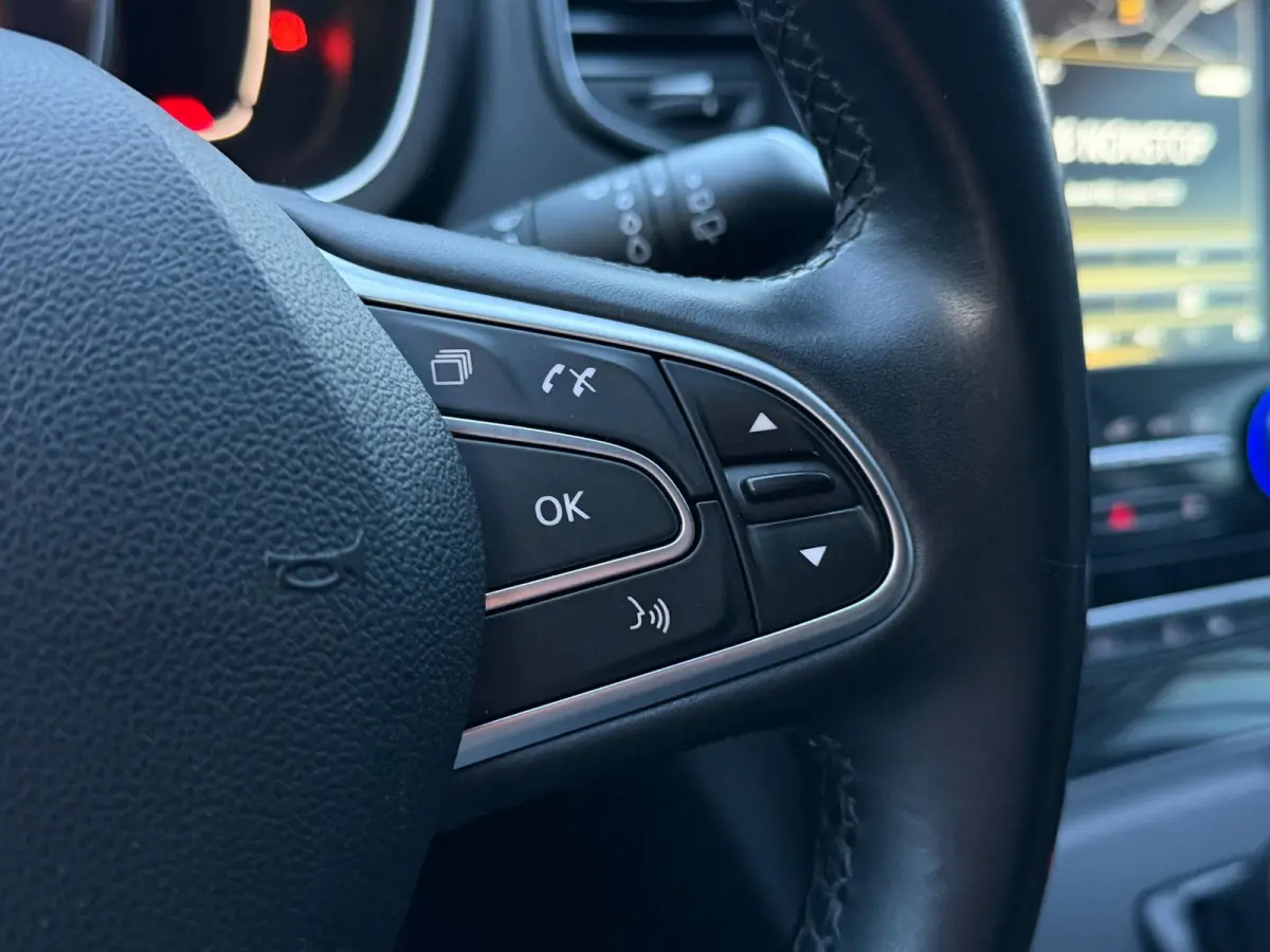1.3 TCe Bose LED Navi Camera Trekh. Aut.