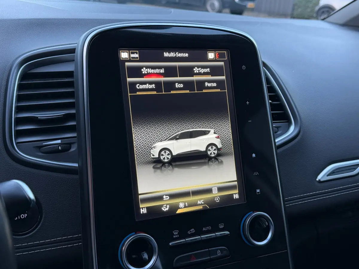 1.3 TCe Bose LED Navi Camera Trekh. Aut.