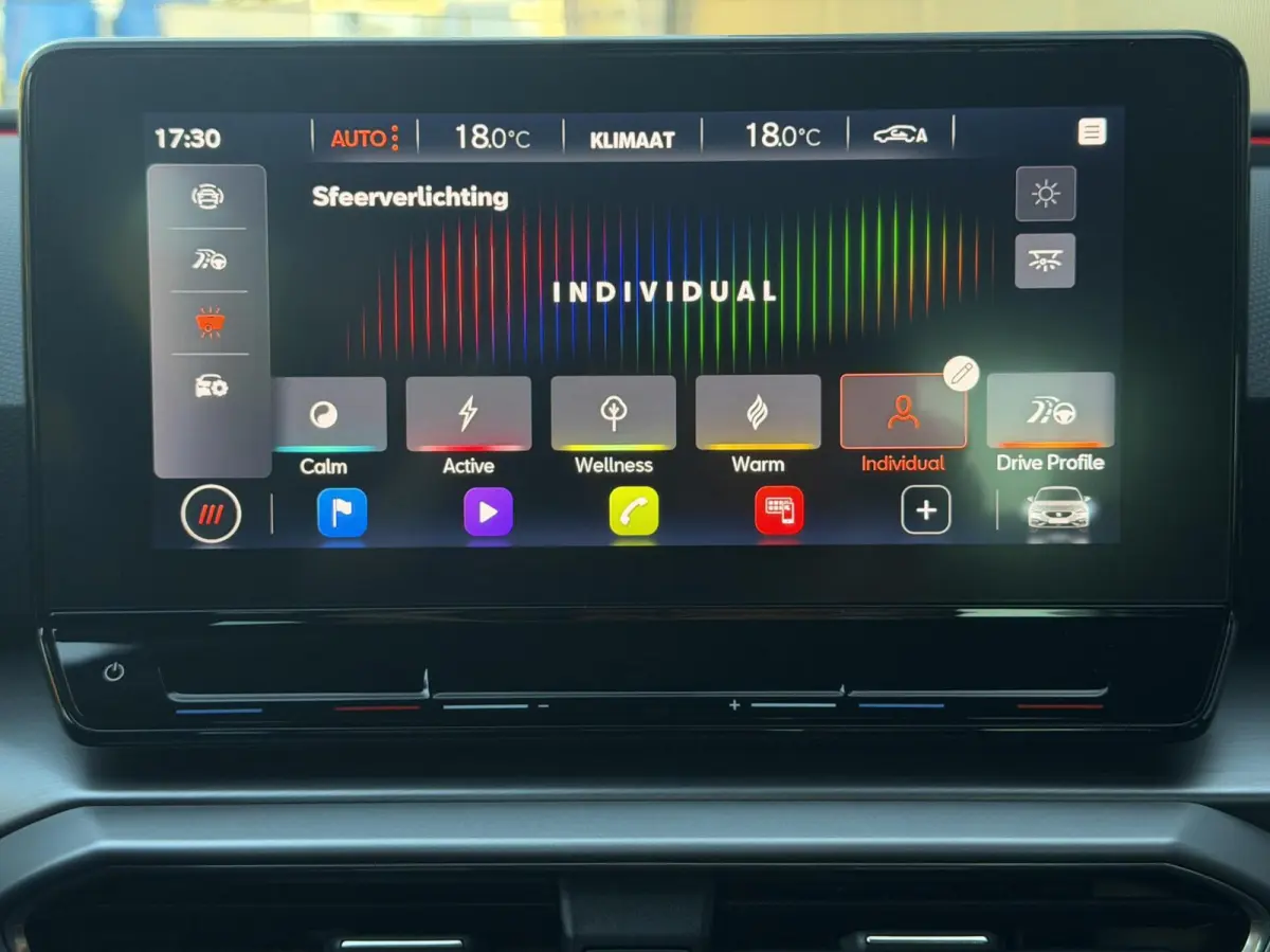 1.0 TSI FR Business Intense Viartual Carplay Sfeer