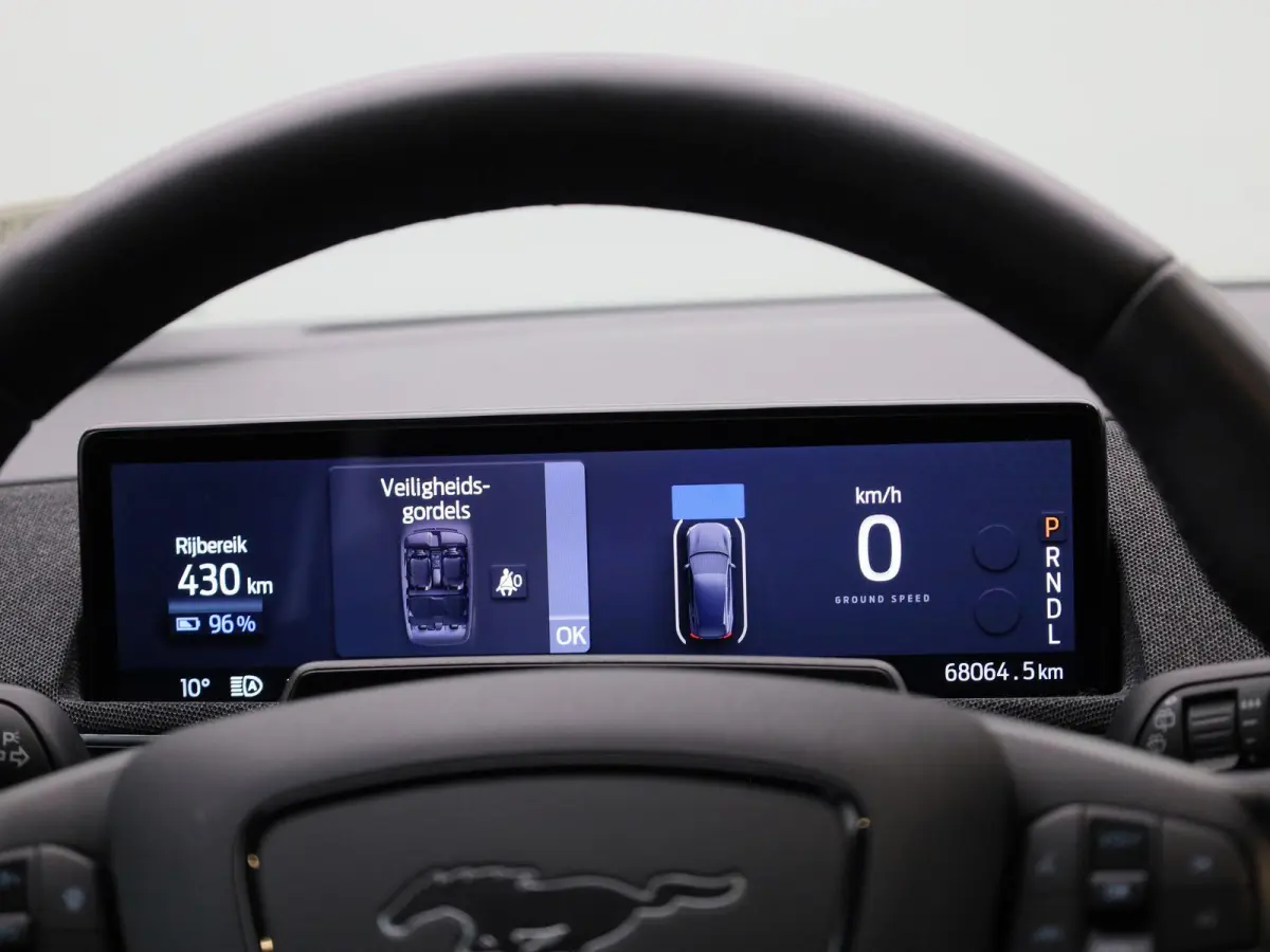 Extended Premium RWD 98 kWh Panorama dak | Elektrische Achterklep