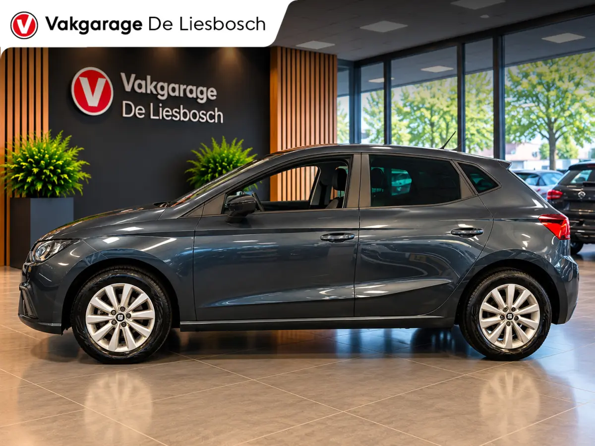 1.0 TSI Style Business Intense navigatie camera pdc Allseason banden