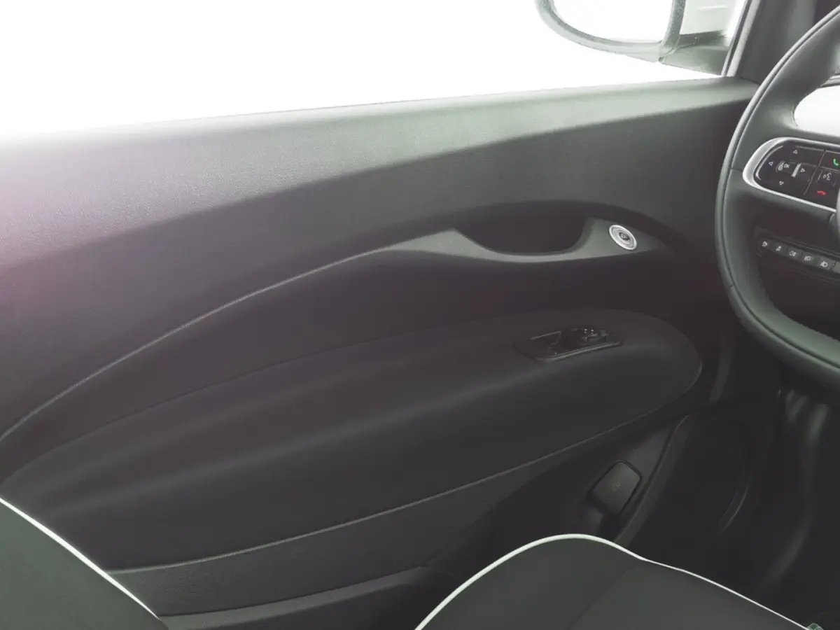 Icon Plus 3+1 24 Kwh | Full LED | VELGEN | NAVI | CAMERA | PDC | CARPLAY | Stoelverwarming | SOH: 100% | !