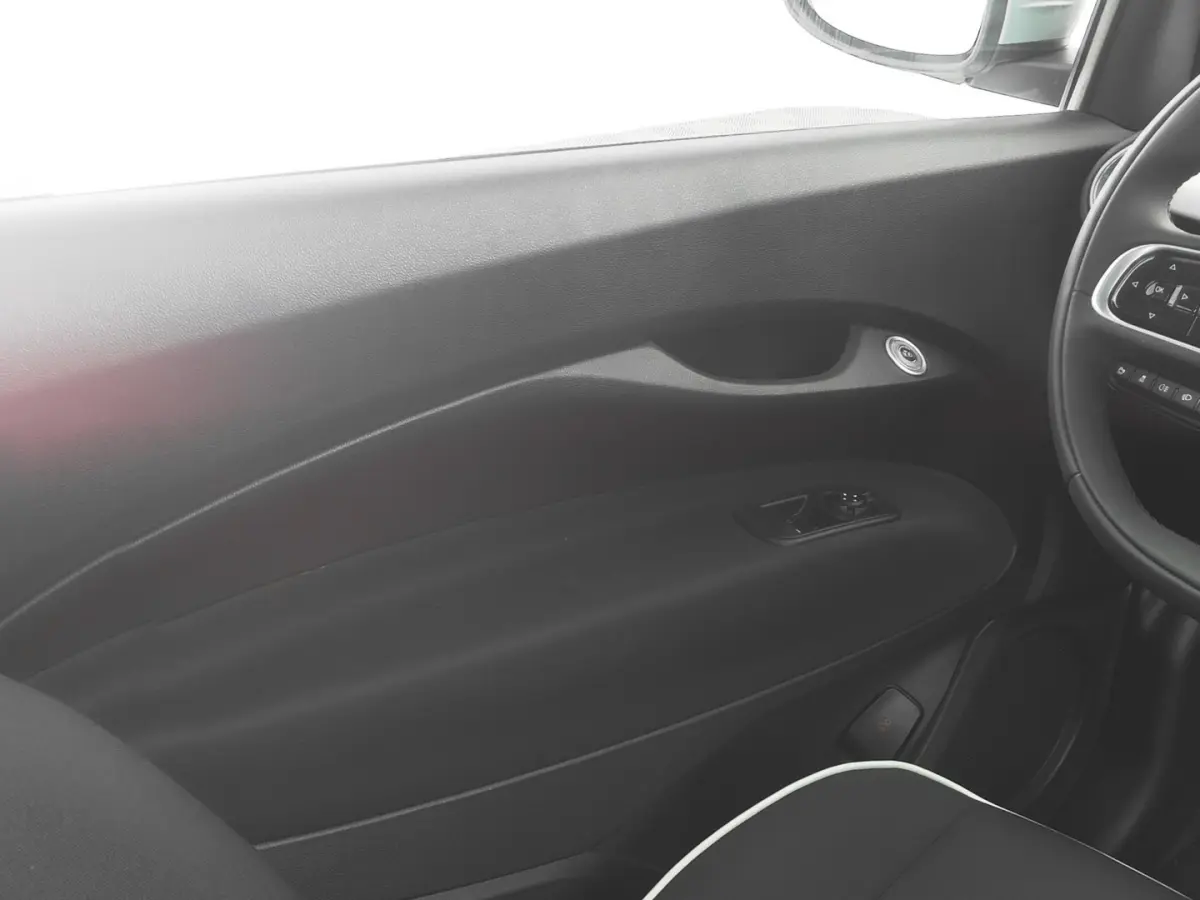 Urban Plus 24 kWh *SOH 98%* CAMERA | CARPLAY | Stoelverwarming | PDC !