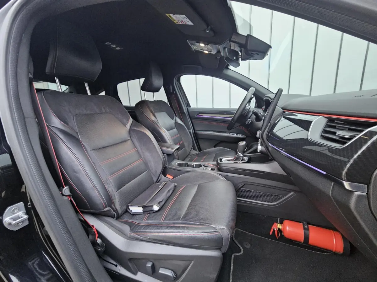 1.3 TCe RS-Line Camera Carplay Leder