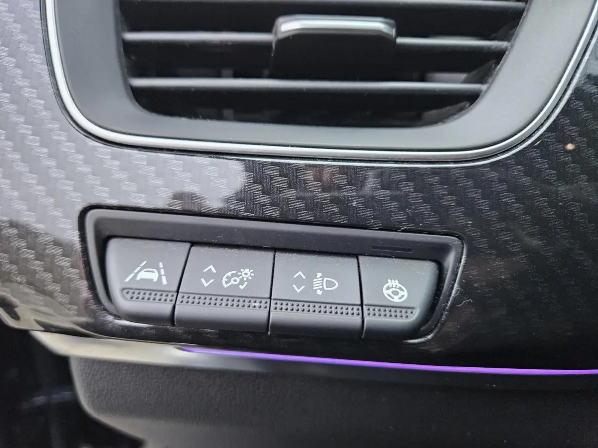 1.3 TCe RS-Line Camera Carplay Leder