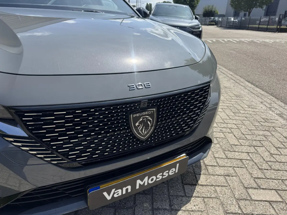 GT Avantage EV 54 kWh l Voorraad l Alcantara Executive Pack l Warmtepomp