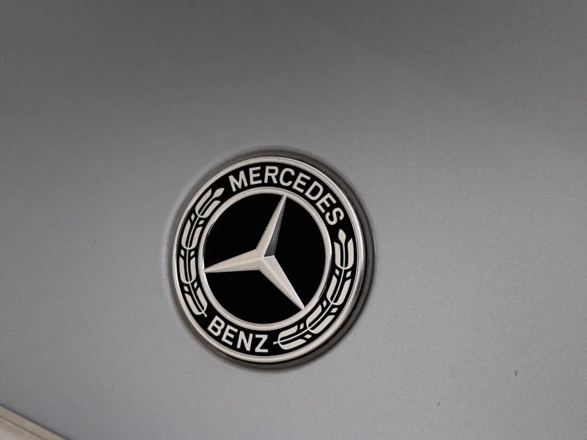 450+ AMG Line 108 kWh