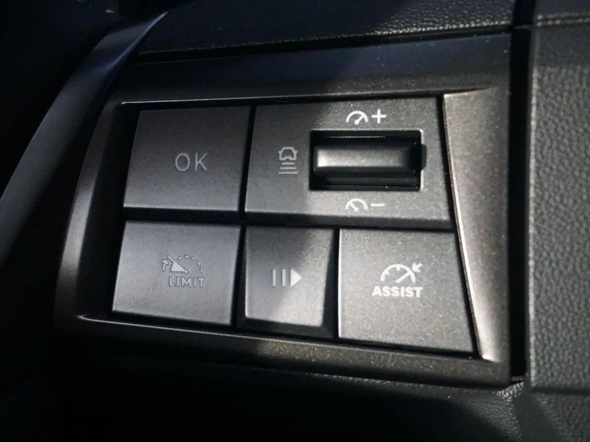 Edition 54 kWh stuurwiel verwarmd l cruise control adaptief en stuurhulp l Apple Carplay/Android Auto