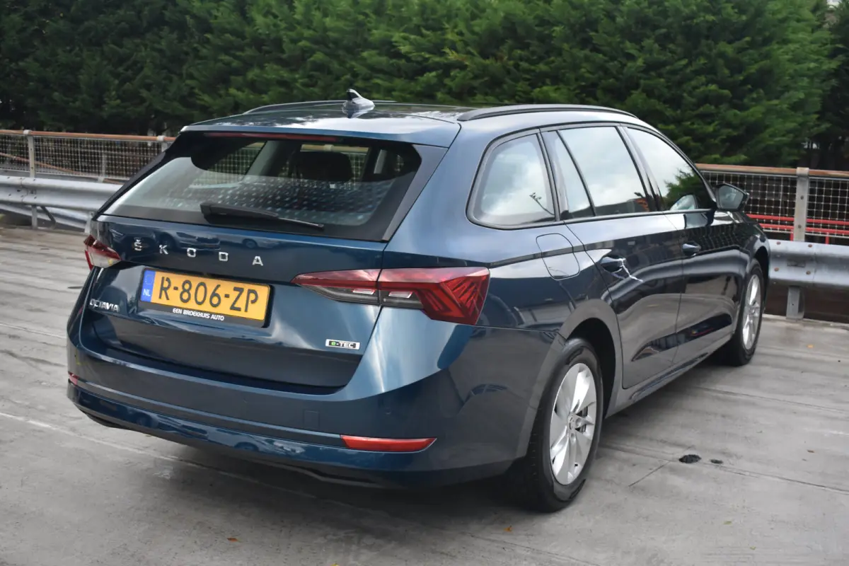 1.0 e-TSI 110PK DSG Business Edition | Panoramadak - elektrisch schuif-kanteldak | Wegklapbare trekhaak | Elektrische achterklep | Comfort Pakket | Travel Pakket | Functie pakket
