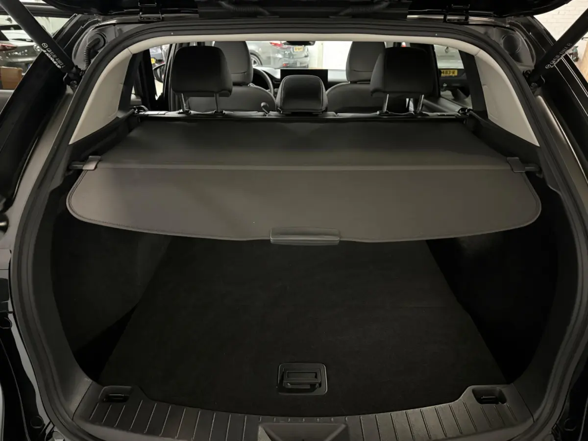 2.5 E-SKYACTIV G 141 M HYBRID Homura | PANO | BOSE