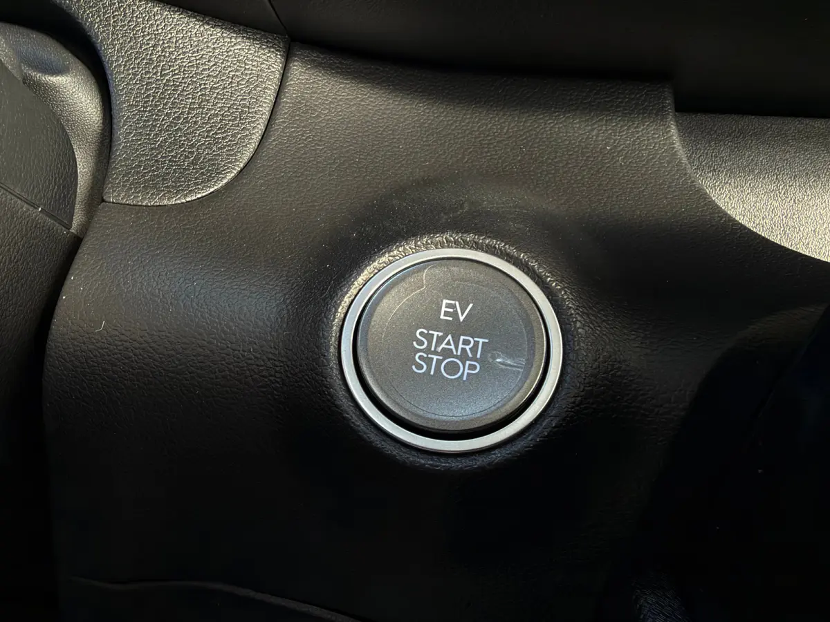 Limited 49kWh | Apple Carplay/Android Auto | Achteruitrijcamera | Cruise control adaptief | Navigatiesysteem |