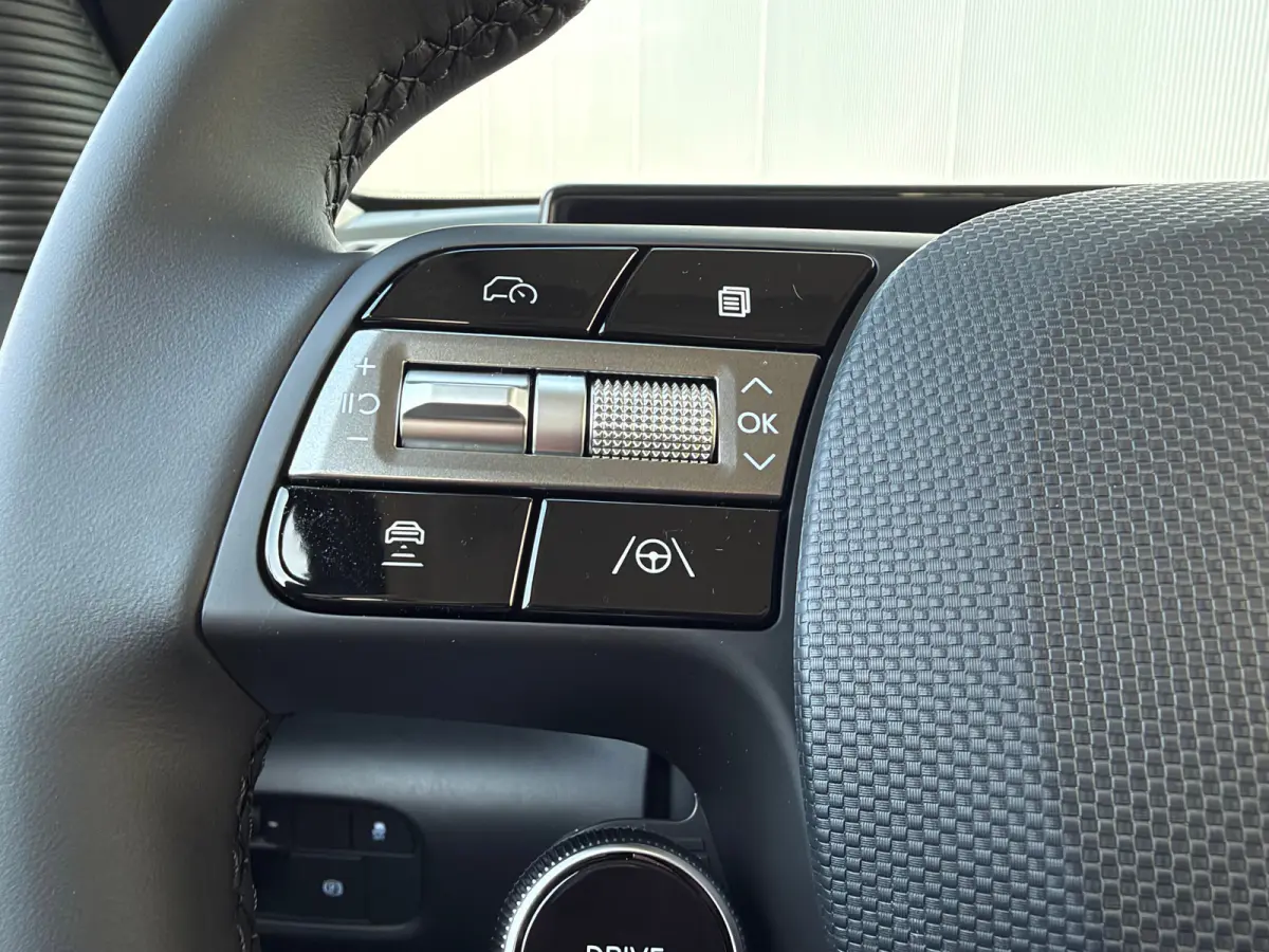 Limited 49kWh | Apple Carplay/Android Auto | Achteruitrijcamera | Cruise control adaptief | Navigatiesysteem |