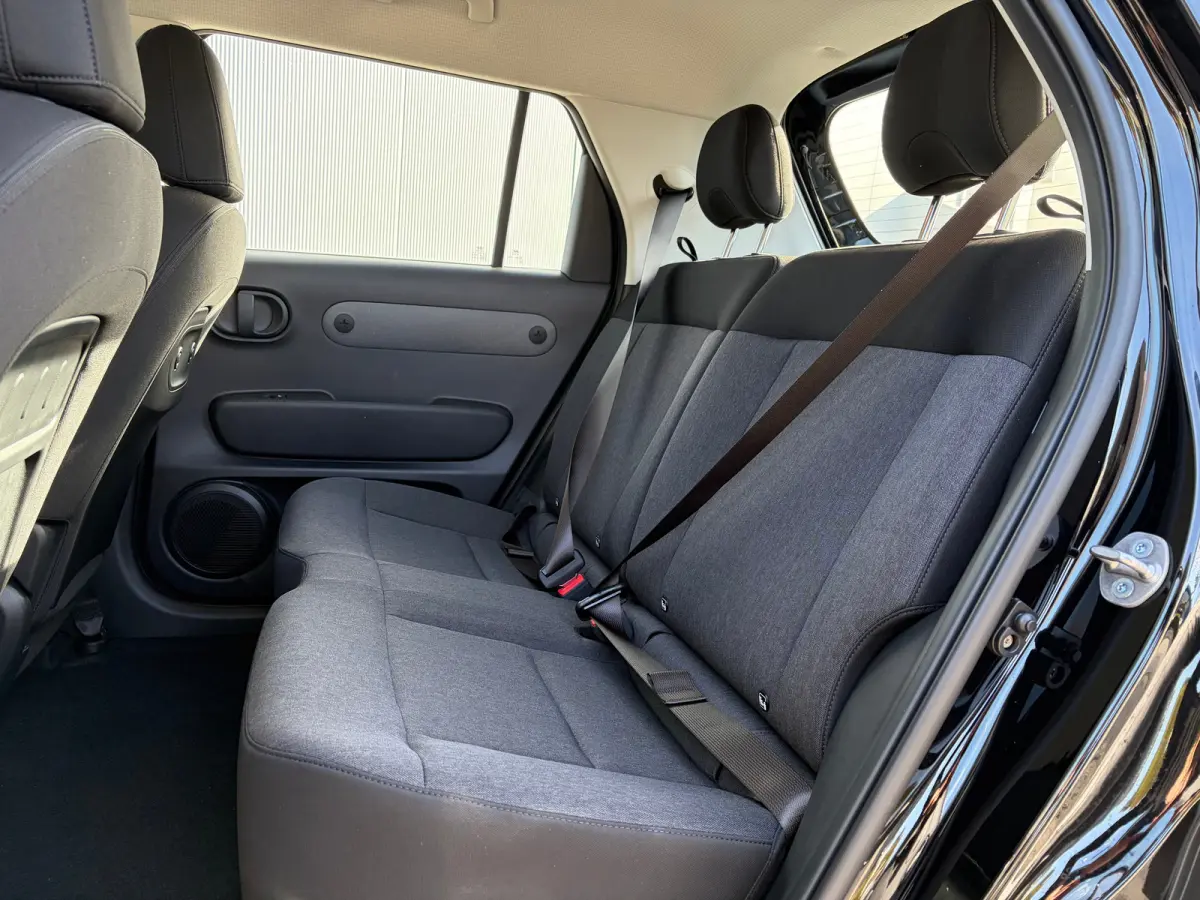 Limited 49kWh | Apple Carplay/Android Auto | Achteruitrijcamera | Cruise control adaptief | Navigatiesysteem |