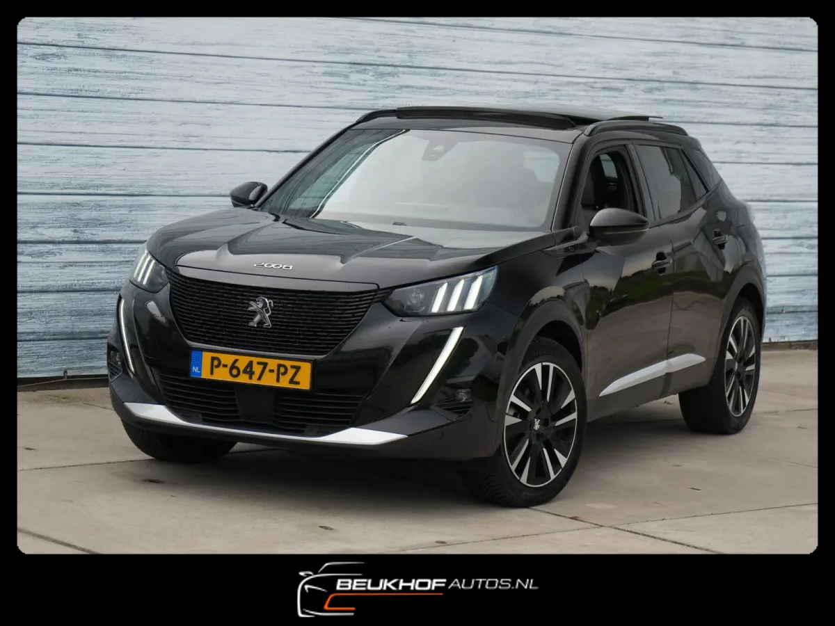 EV GT-Line 50 kWh Leer Panorama Leer Soh 91%